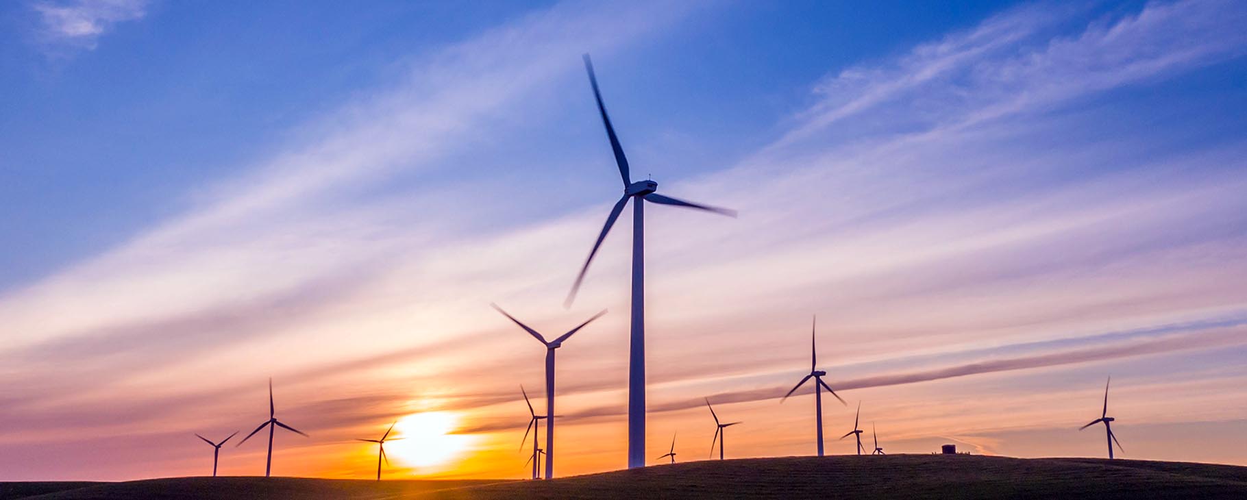 澶氬睆鑷€傚簲